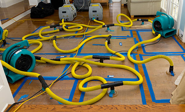 Professional Crawl Space Water Removal technician working in Lowellville, OH